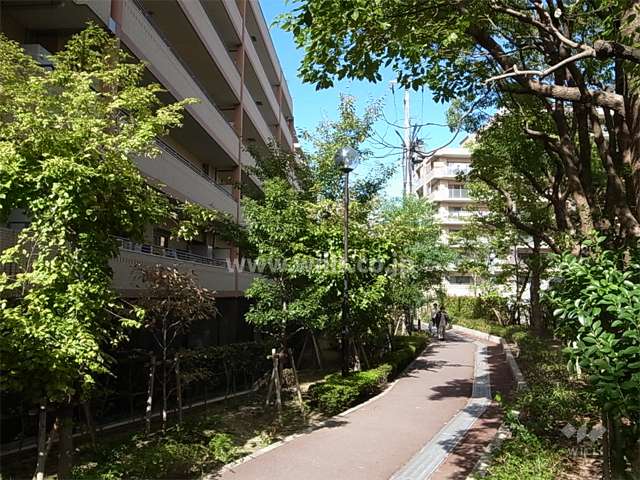 敷地の東側は緑道になっています。