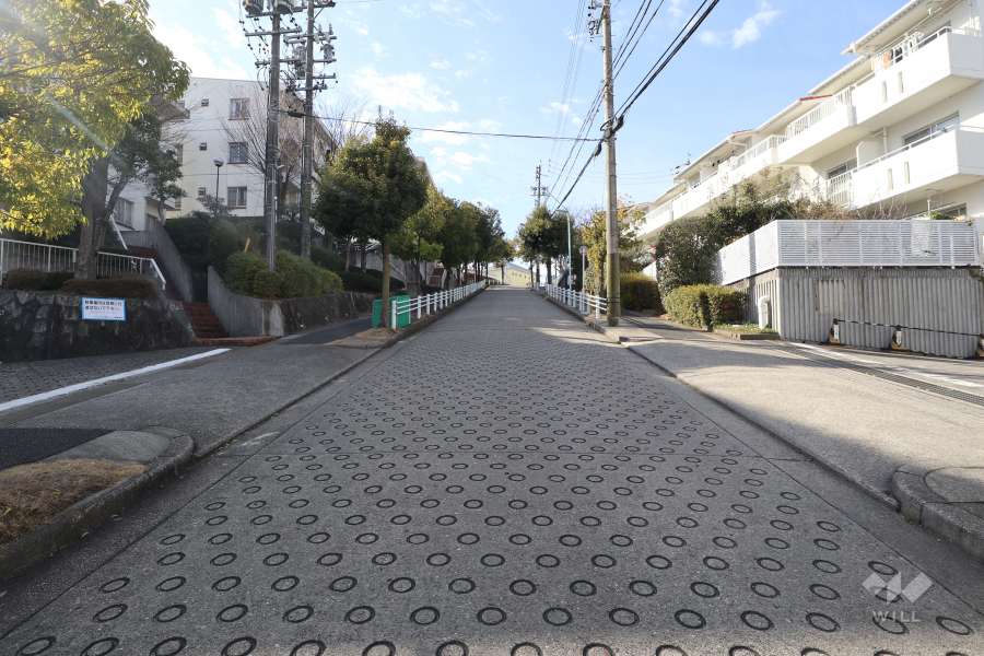 敷地北側の前面道路（東側から）
