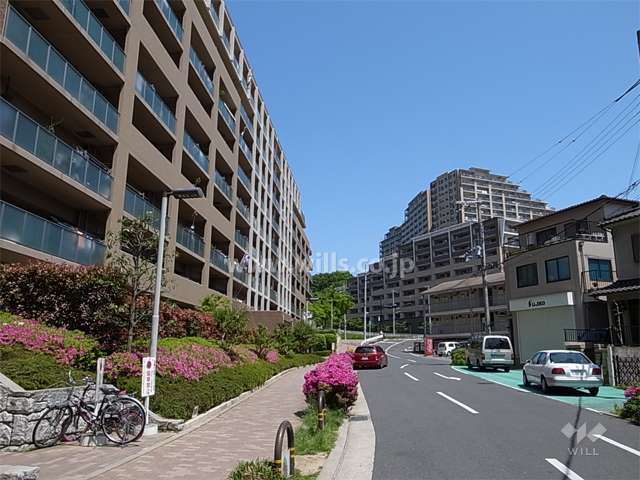 敷地東側の前面道路。周辺はゆるやかな南斜面の住宅地です。