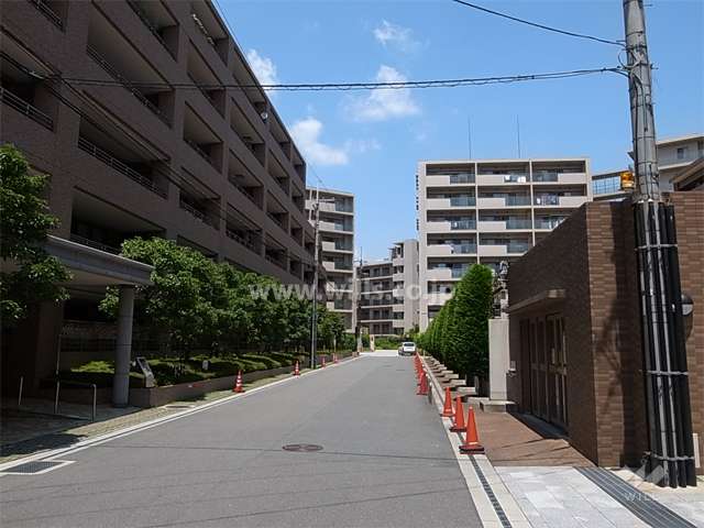 敷地南東側の前面道路。周辺はマンションが多く立ち並ぶ住宅地です。