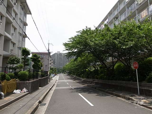 19号棟南側の前面道路