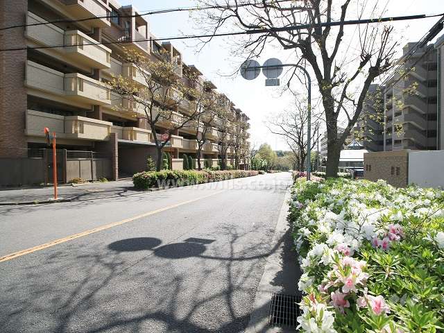 敷地南側の前面道路（西側から）