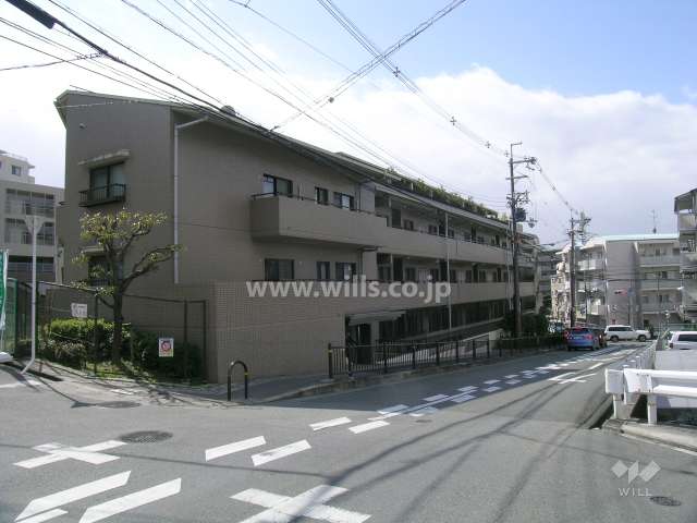 敷地の北側はバス通りに面しています。
