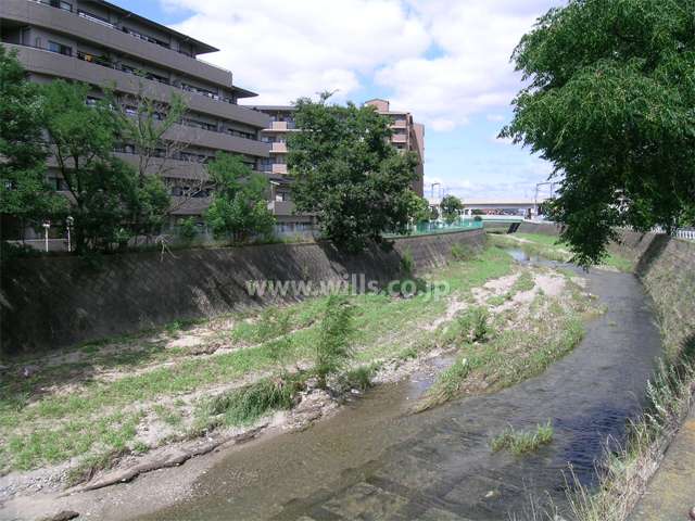 敷地の東側を流れる千里川