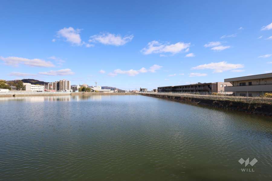 敷地の北側には池が広がっています。