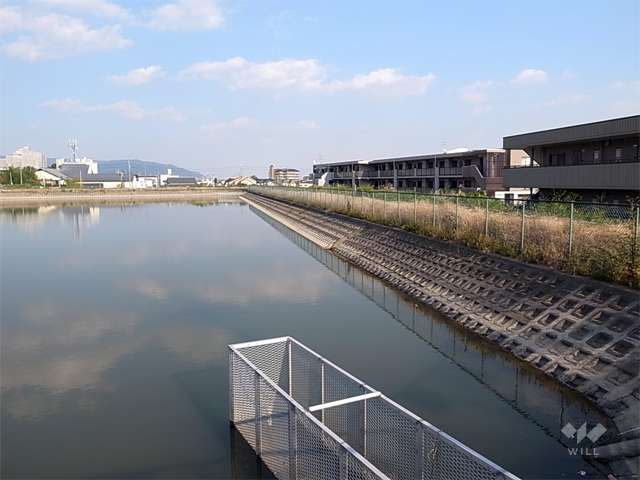 敷地の北側には池が広がっています。