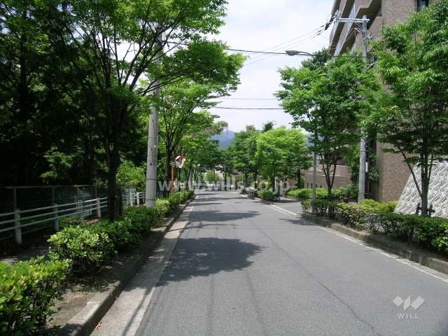 緑豊かな敷地西側の前面道路