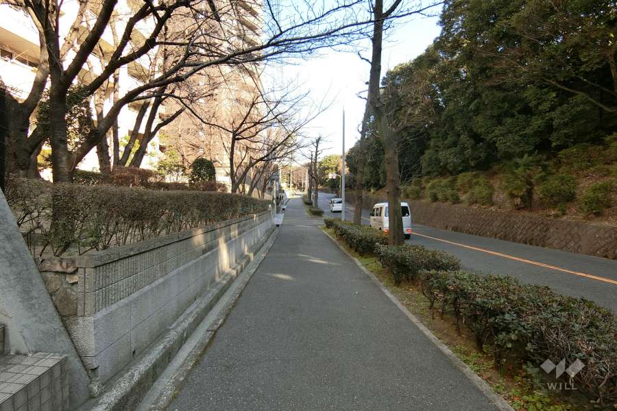 敷地南側の前面道路