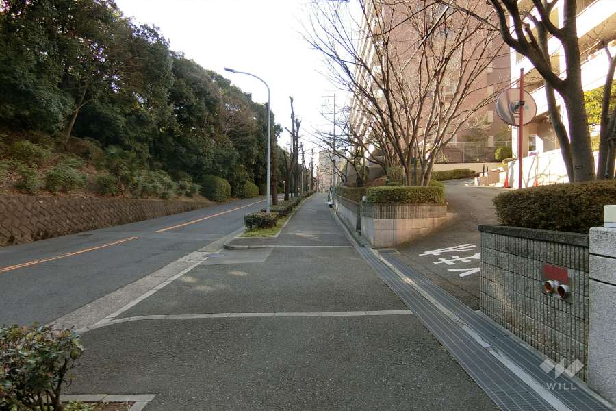 敷地南側の前面道路
