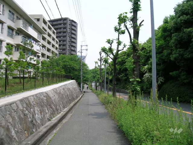 敷地の南側の道路