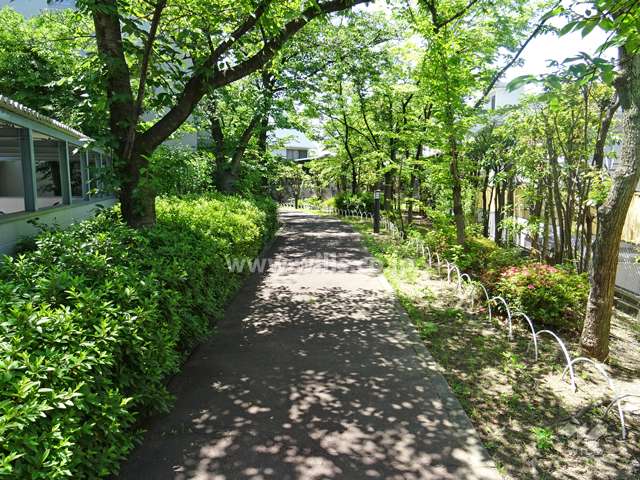 敷地西側には棟南側の公園に続く通路があります。