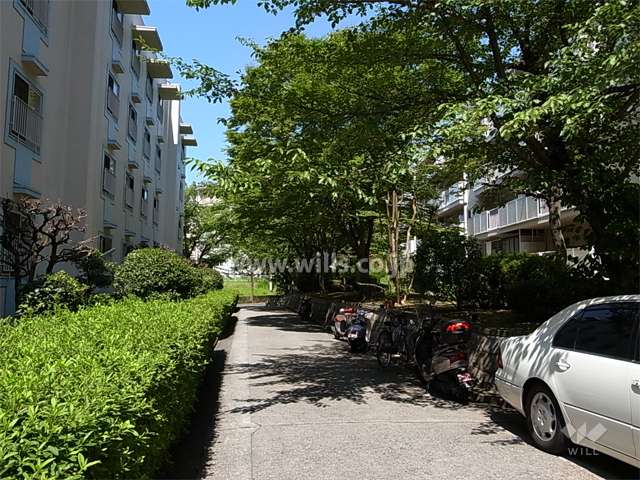 敷地内は緑豊かです。