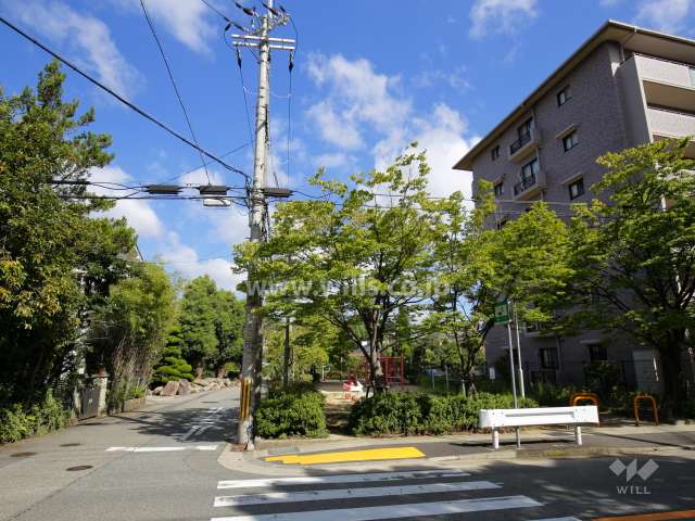 敷地西側の前面道路。突き当たりには長尾中学校があります。