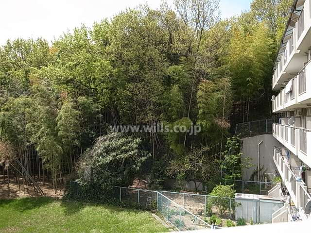 敷地の西側は山林、南側は一段低く抜けています。