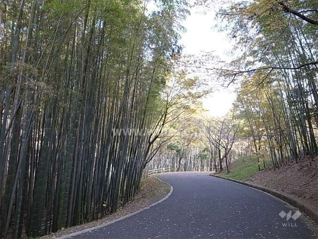 敷地南側の服部緑地の竹林の間を抜ける小径。