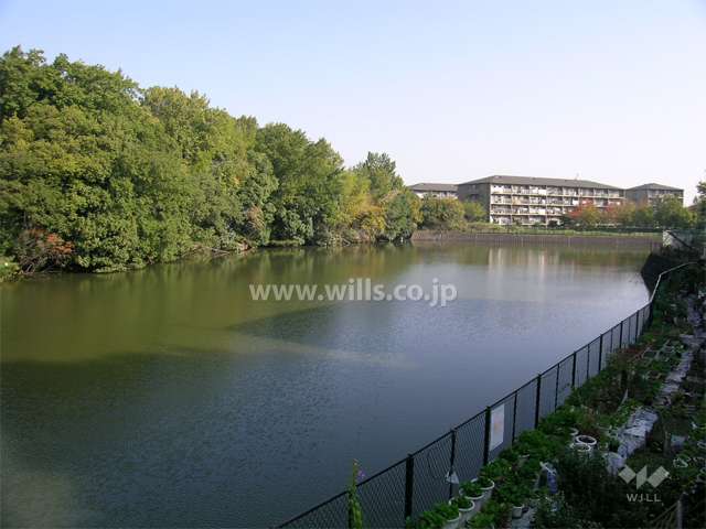 敷地の南西側には『三保ケ池』が広がっています。