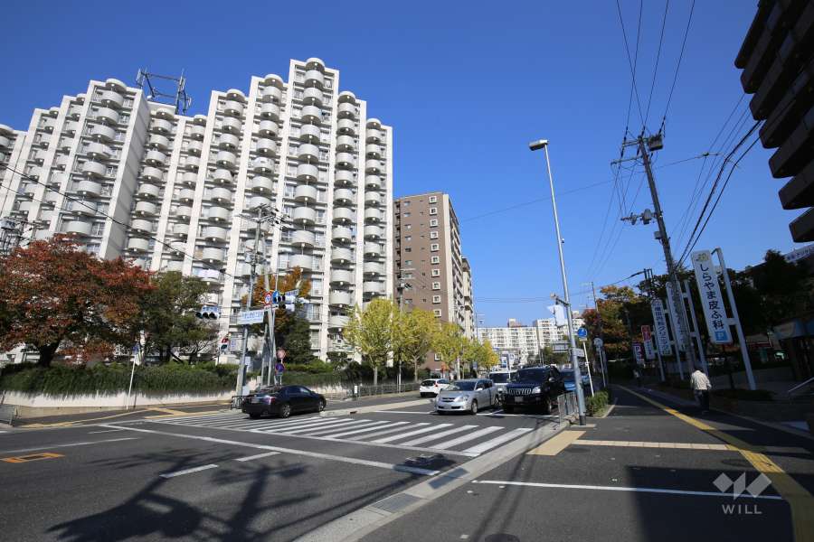 敷地南側は4車線の通りです。