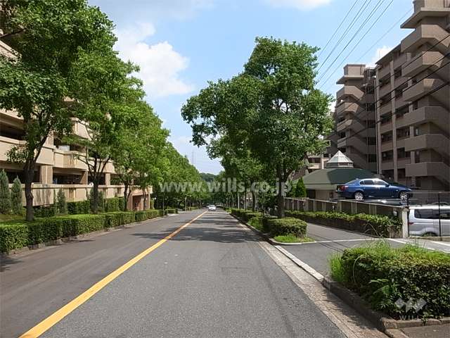敷地の北側前面道路は街路樹がきれいな通りです。