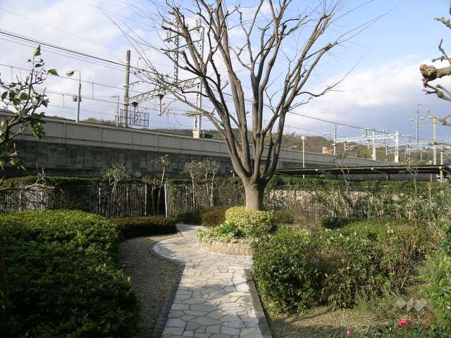 共用部分。植栽が豊かです。