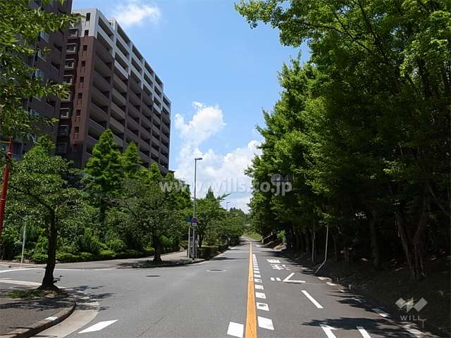 敷地東側の道路