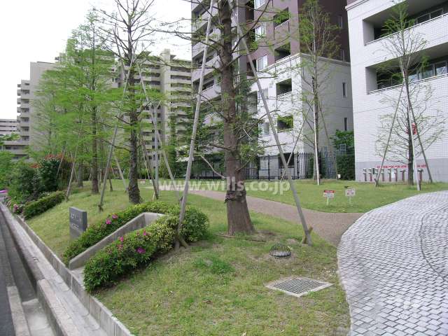 敷地内の緑地スペース