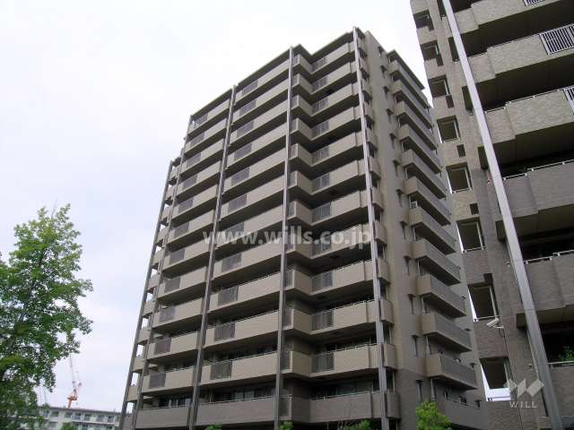 外観（南側から見る）