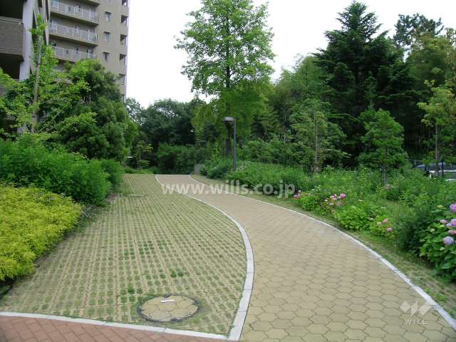 敷地内は緑豊か