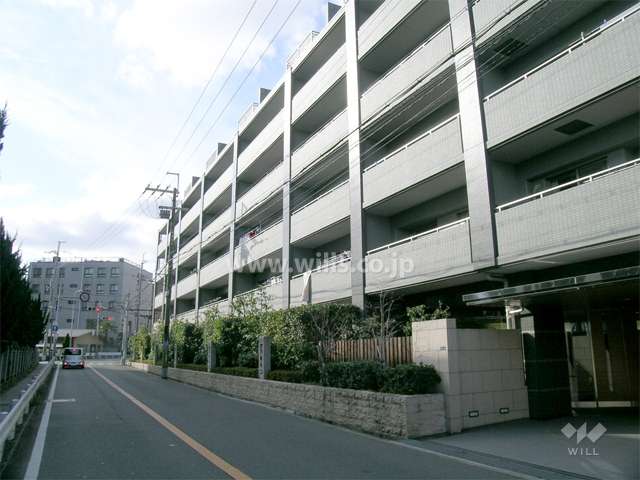 敷地の南側は二車線の道路です