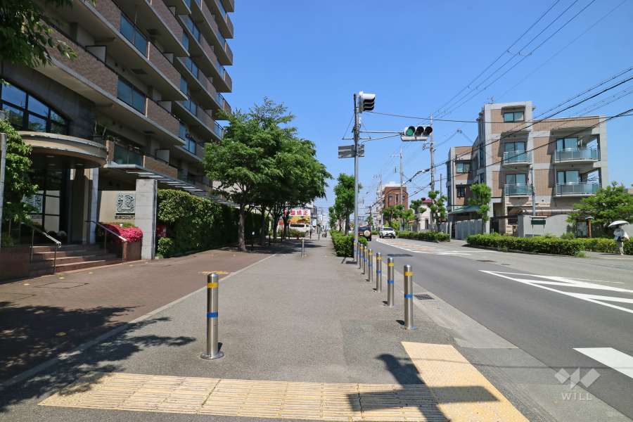 敷地南側の前面道路。国道176号線です。