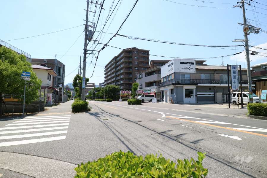 宝塚ロジュマンの遠景