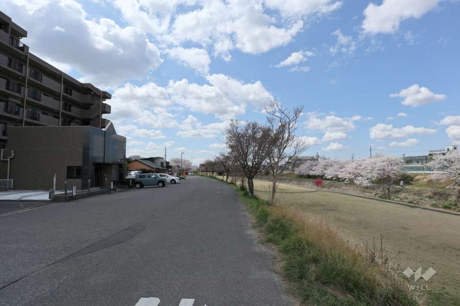 敷地北側の前面道路（東側から）