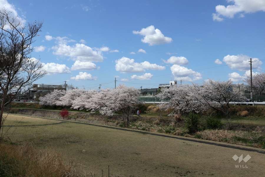 敷地の北側には一級河川の『瀬戸川』が通っています。