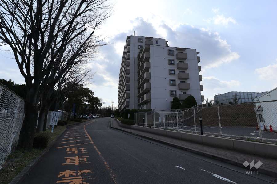 敷地南東側の通路（北東側から）