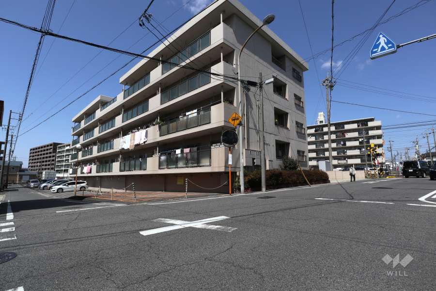 敷地南側と東側の前面道路（南東側から）
