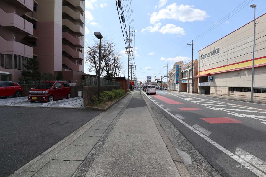 敷地北西側の前面道路（北東側から）