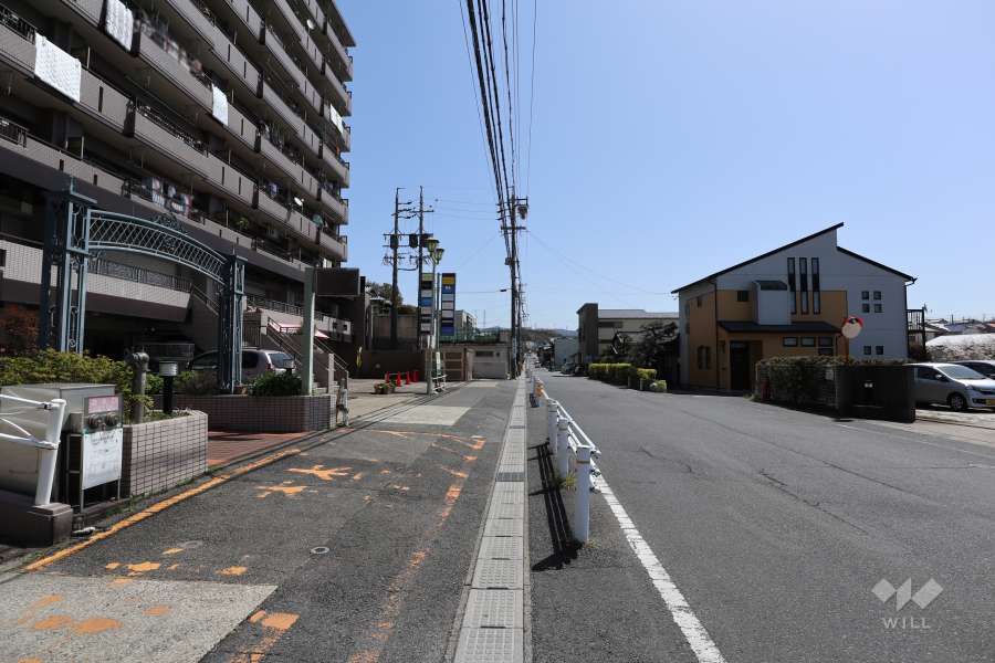 敷地南側の前面道路（西側から）