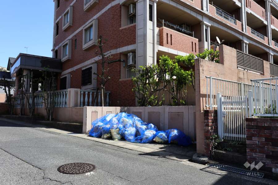 ゴミ置き場