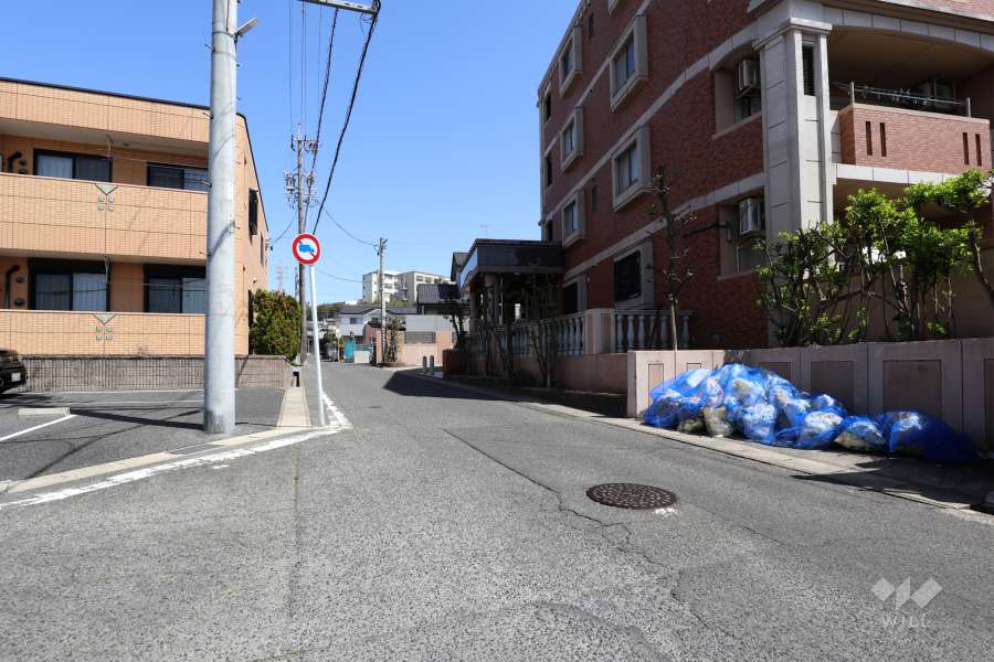敷地西側の前面道路（南側から）