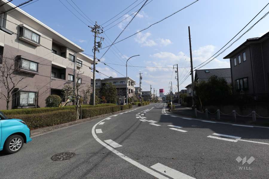 敷地西側の前面道路（北側から）