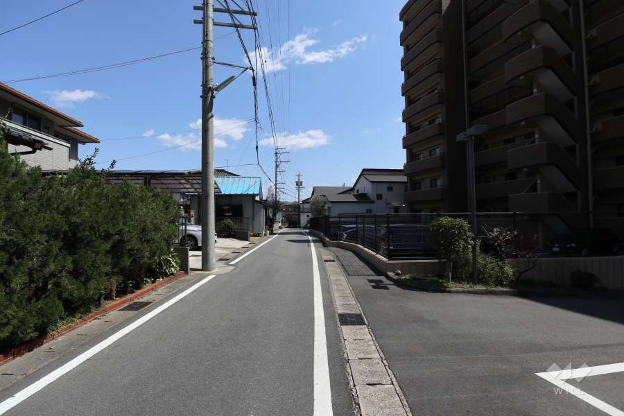 敷地北側の前面道路（西側から）