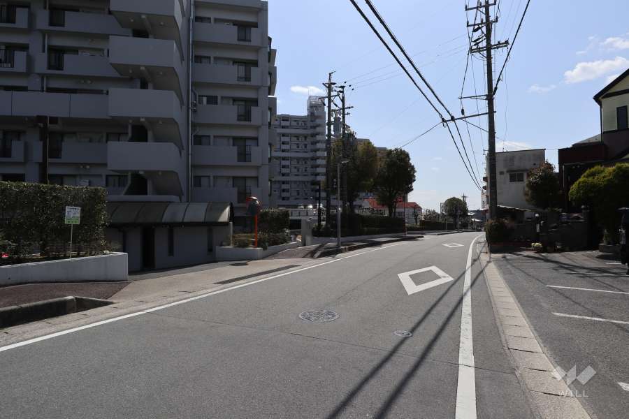 敷地北西側の前面道路（北東側から）