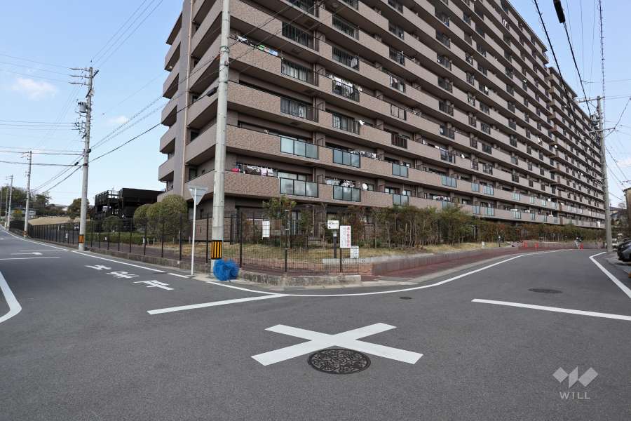 敷地南側と西側の前面道路（南西側から）