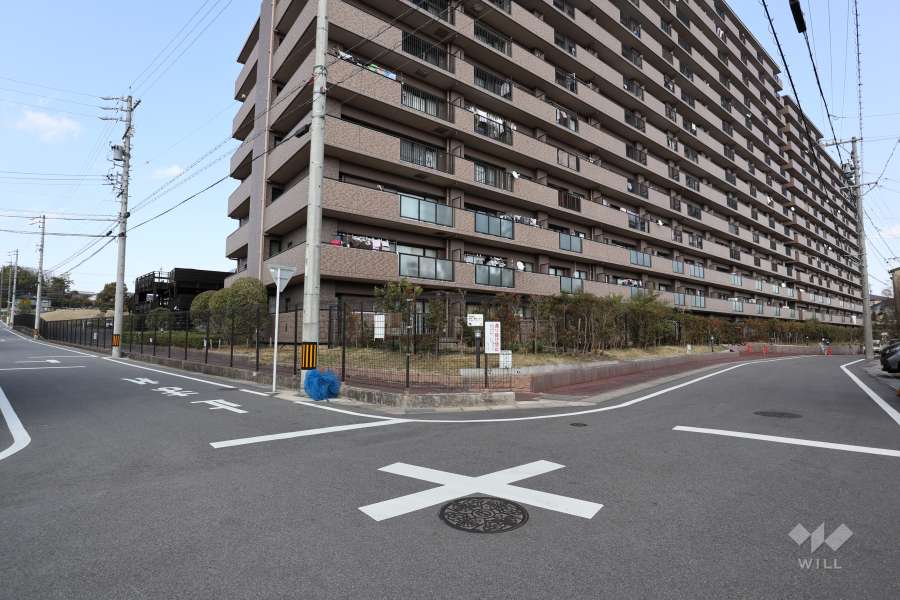敷地南側と西側の前面道路（南西側から）