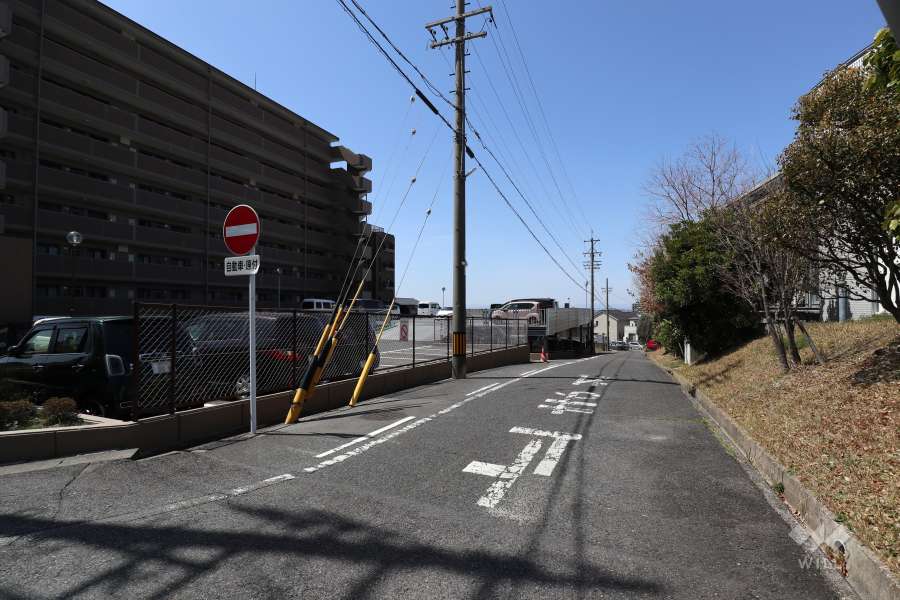 敷地北側の前面道路（東側から）