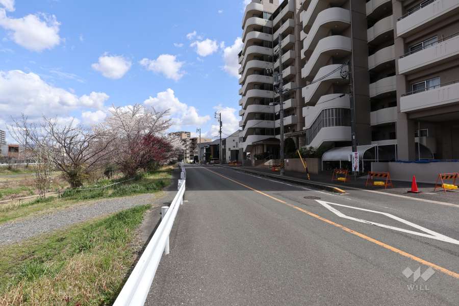 敷地北東側の前面道路（北西側から）
