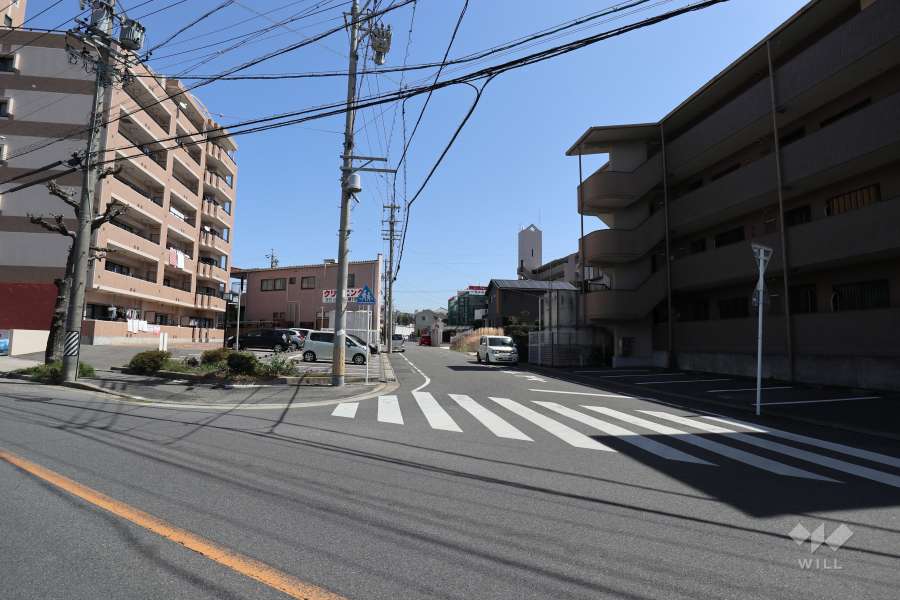 敷地南側の前面道路（西側から）