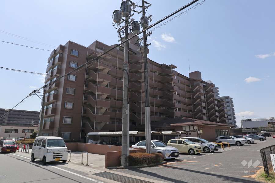 キャステージ水野の外観（北東側から）