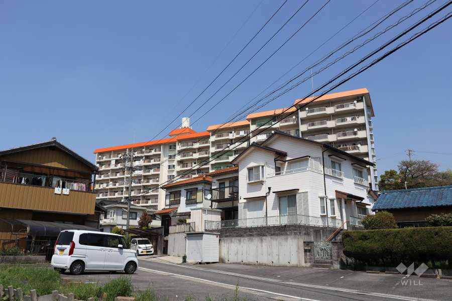 共和コーポラスの遠景