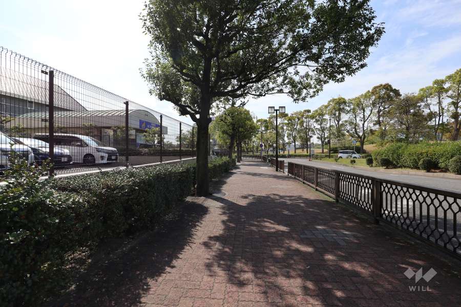 敷地北側の前面道路（東側から）