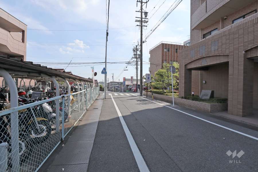 敷地東側の前面道路（北側から）
